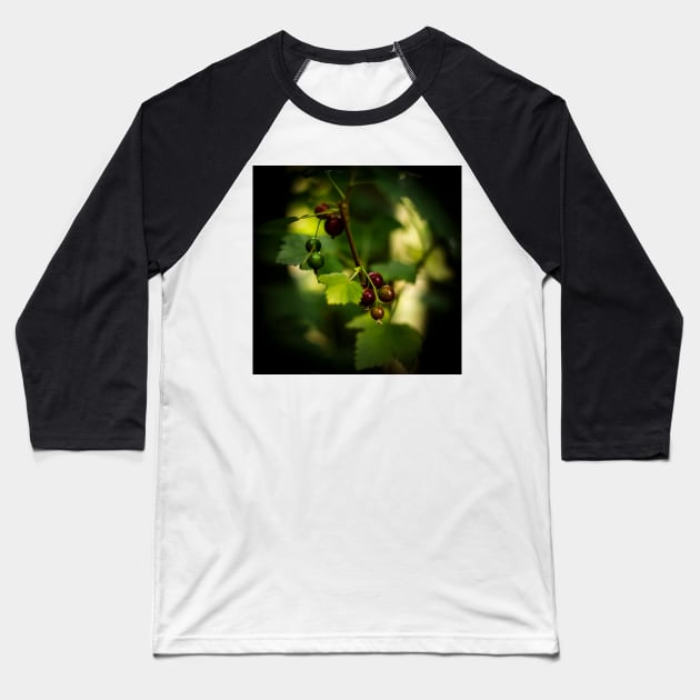 Blackcurrant Berries Baseball T-Shirt by axp7884